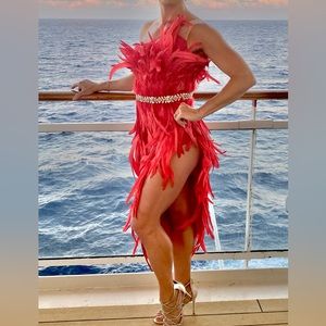 Katana mini dress - show stopper